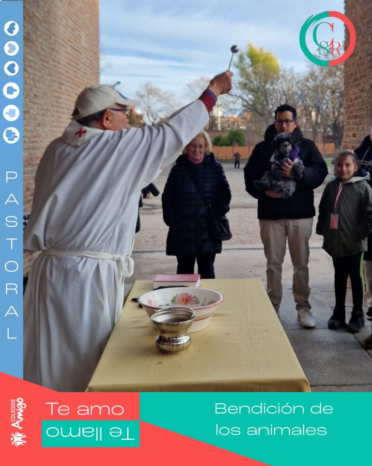 Instagram post from amigosantarita. This post is in position 4.