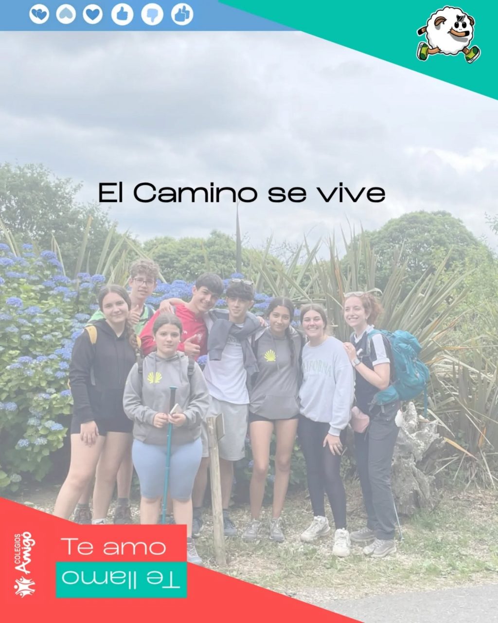 Instagram post from amigosantarita. This post is in position 4.