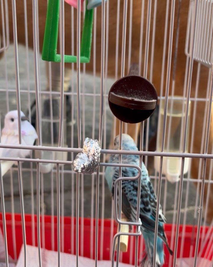 Instagram post from amigosantarita. This post is in position 8.