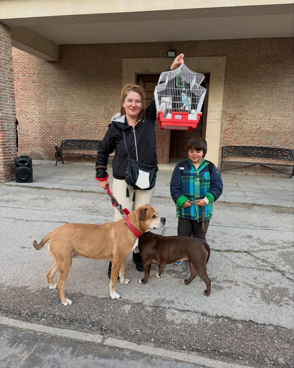 Instagram post from amigosantarita. This post is in position 5.