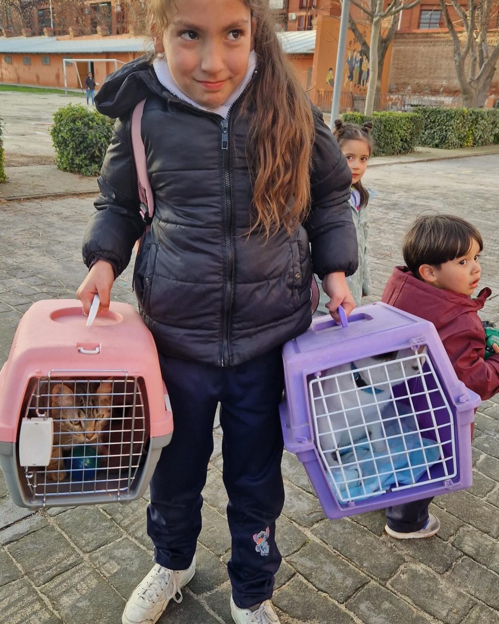 Instagram post from amigosantarita. This post is in position 6.