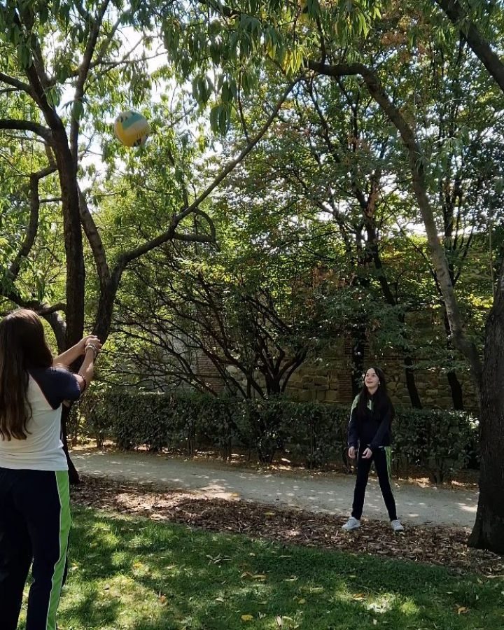 Instagram post from amigosantarita. This post is in position 3.