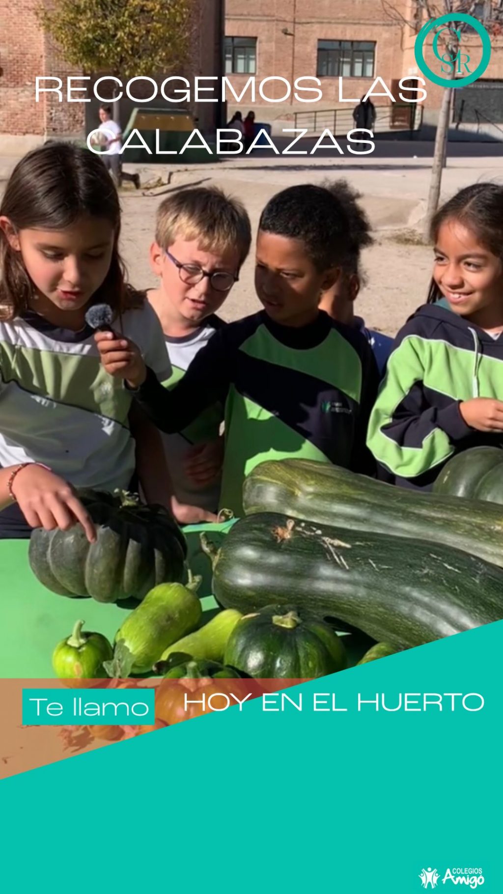 Instagram post from amigosantarita. This post is in position 2.