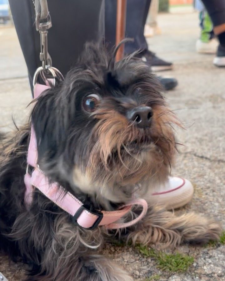 Instagram post from amigosantarita. This post is in position 2.