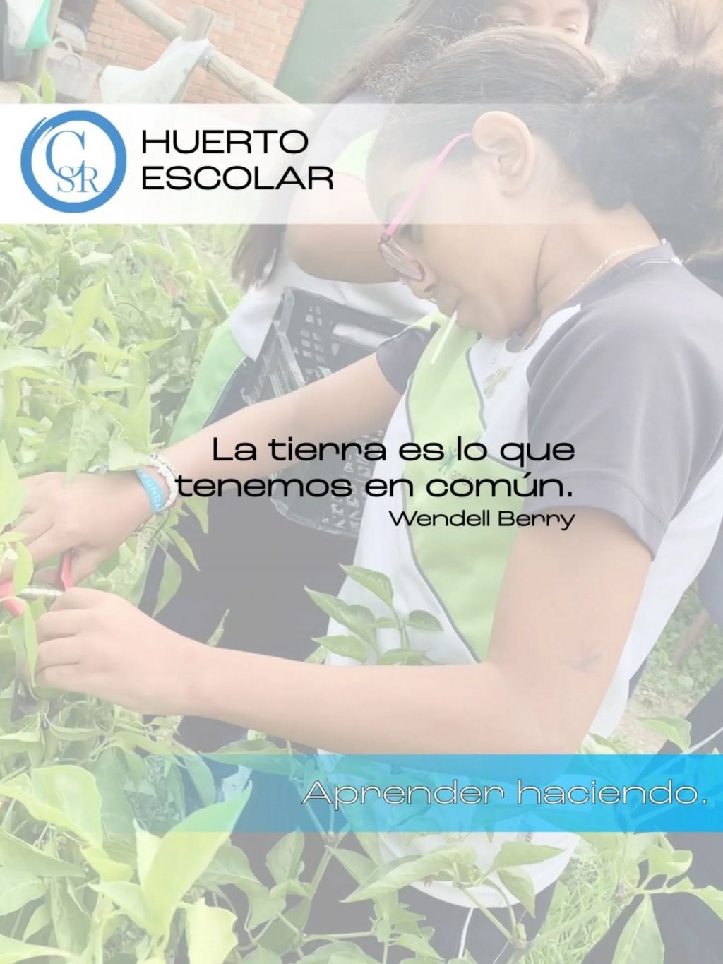 Instagram post from amigosantarita. This post is in position 7.