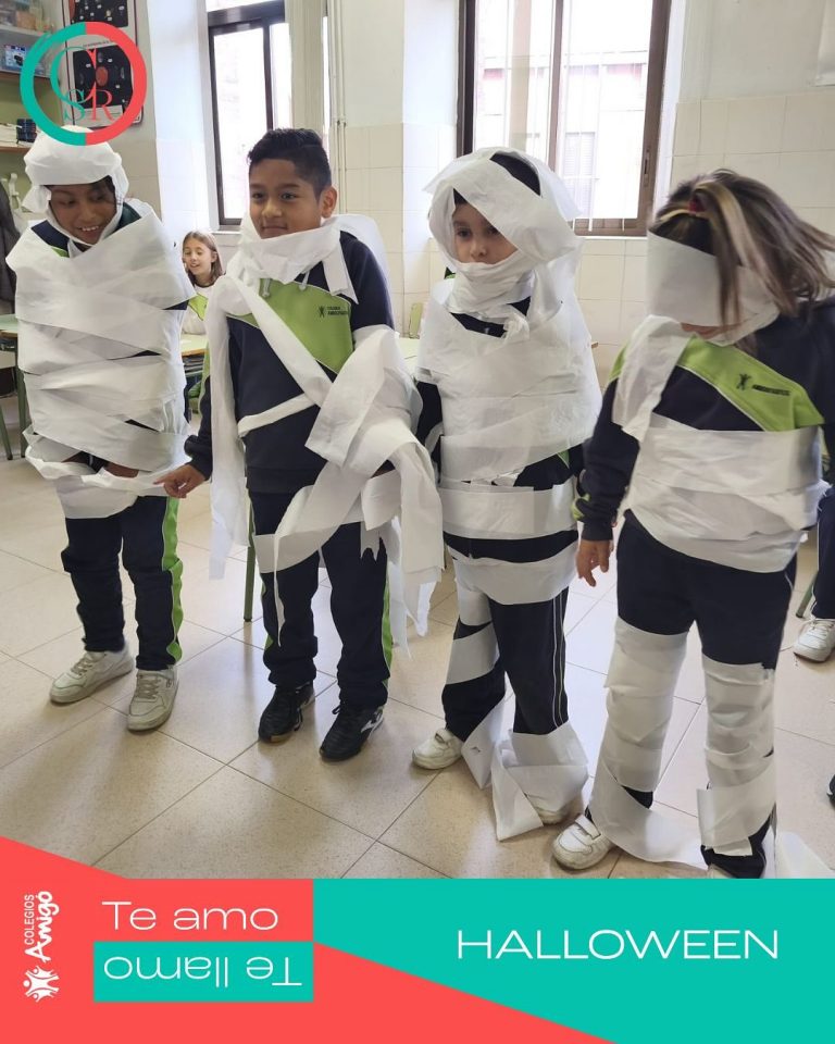 Instagram post from amigosantarita. This post is in position 6.