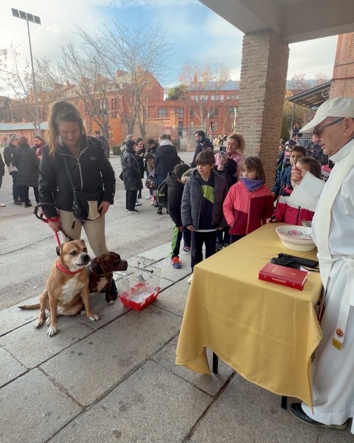 Instagram post from amigosantarita. This post is in position 11.