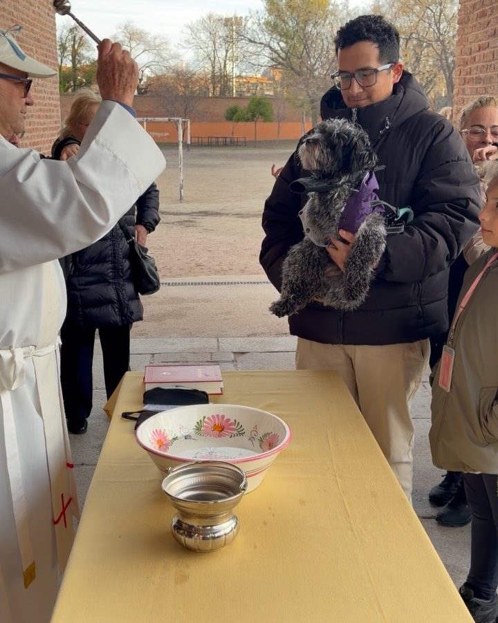 Instagram post from amigosantarita. This post is in position 10.